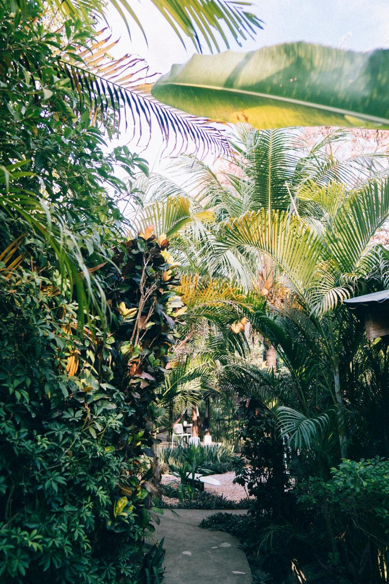 Shaka Costa Rica, Steps From The Beach 호텔 Playa Hermosa Cobano 외부 사진